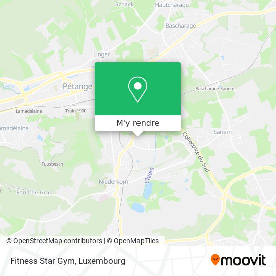 Fitness Star Gym plan