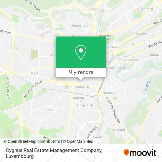 Cygnus Real Estate Management Company plan