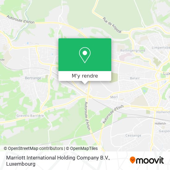 Marriott International Holding Company B.V. plan