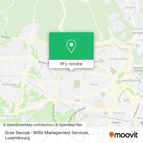 Gras Savoye - Willis Management Services plan
