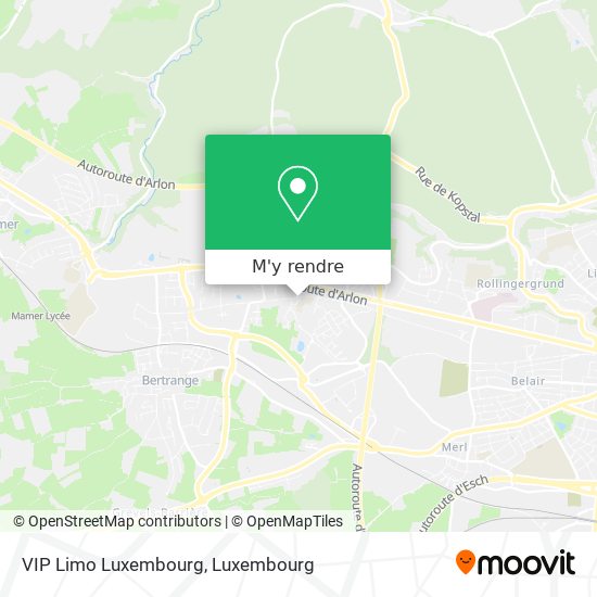 VIP Limo Luxembourg plan