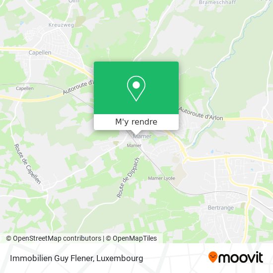 Immobilien Guy Flener plan