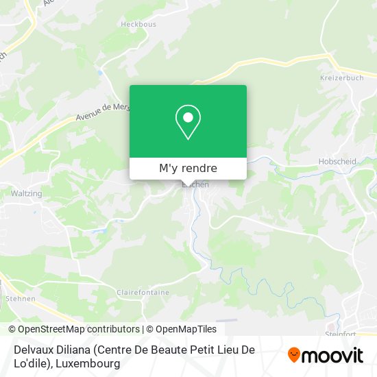 Delvaux Diliana (Centre De Beaute Petit Lieu De Lo'dile) plan