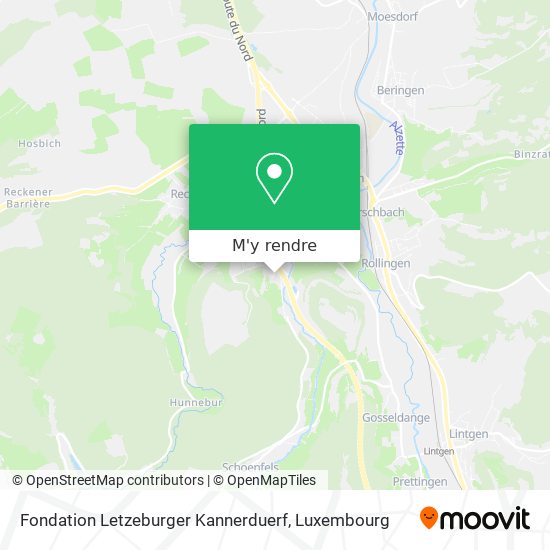 Fondation Letzeburger Kannerduerf plan