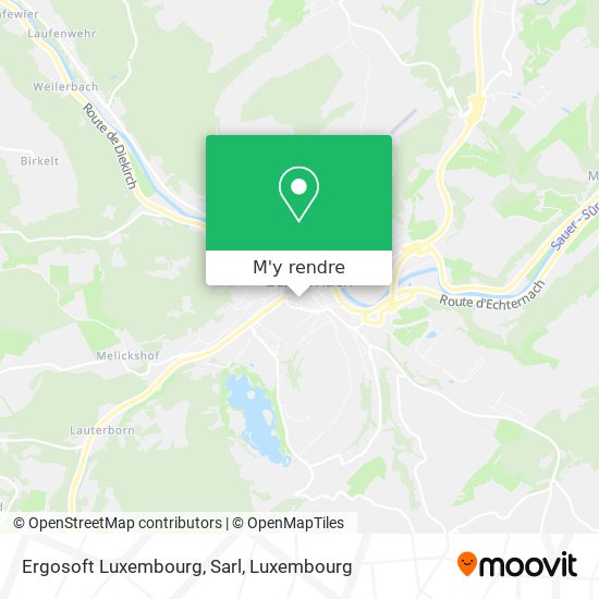 Ergosoft Luxembourg, Sarl plan