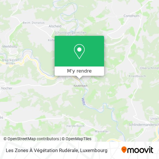 Les Zones À Végétation Rudérale plan