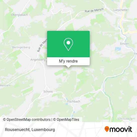 Rousenuecht plan