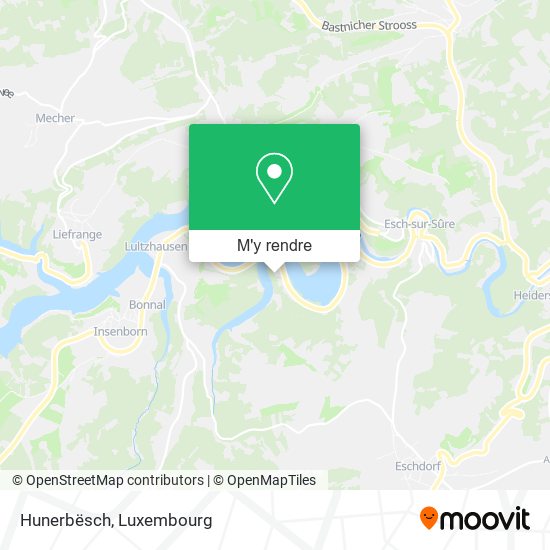 Hunerbësch plan