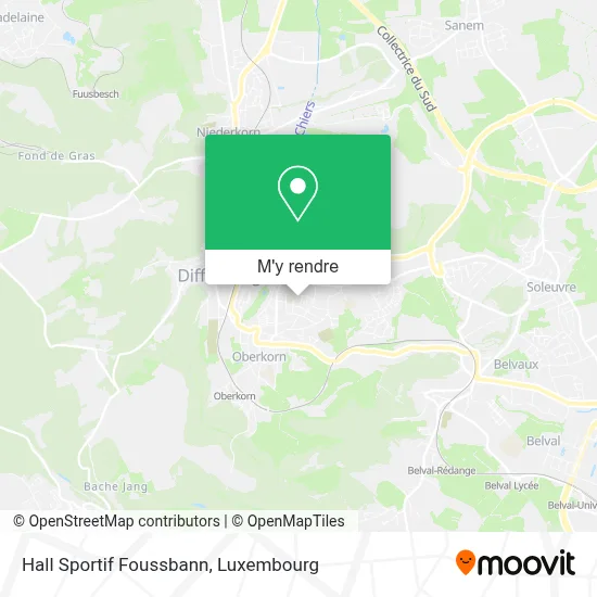 Hall Sportif Foussbann plan