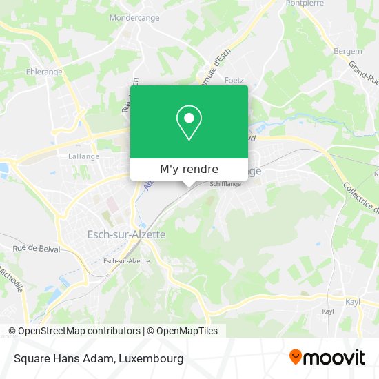 Square Hans Adam plan