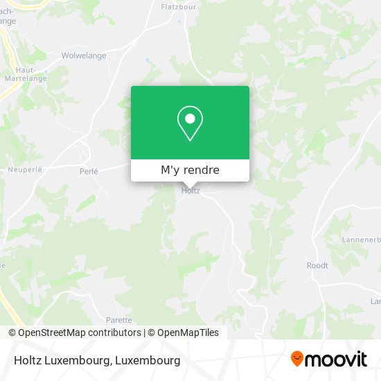 Holtz Luxembourg plan
