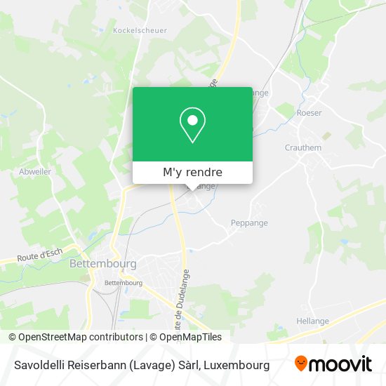 Savoldelli Reiserbann (Lavage) Sàrl plan