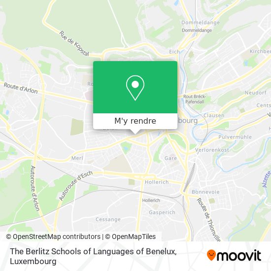 The Berlitz Schools of Languages of Benelux plan