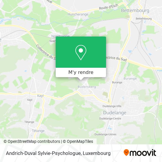 Andrich-Duval Sylvie-Psychologue plan