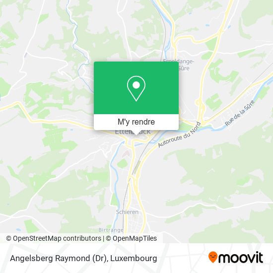 Angelsberg Raymond (Dr) plan