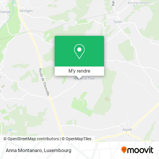 Anna Montanaro plan