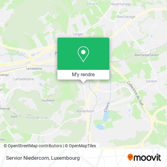 Servior Niedercorn plan