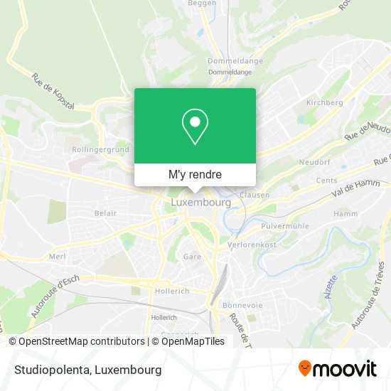 Studiopolenta plan