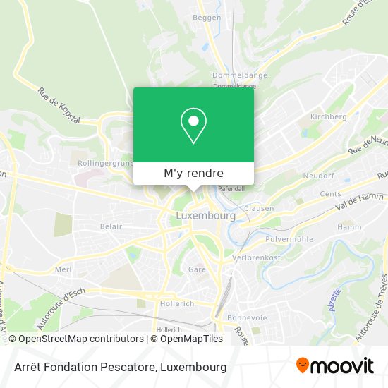 Arrêt Fondation Pescatore plan