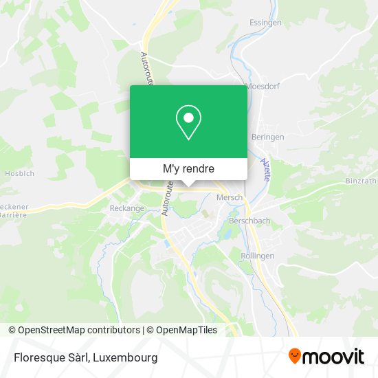 Floresque Sàrl plan