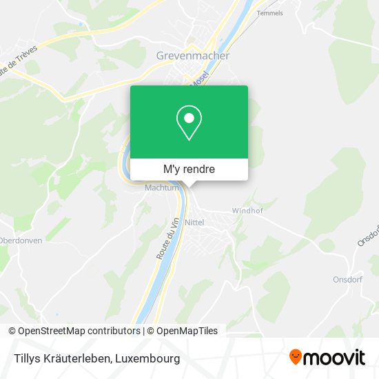 Tillys Kräuterleben plan