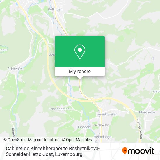Cabinet de Kinésithérapeute Reshetnikova-Schneider-Hetto-Jost plan
