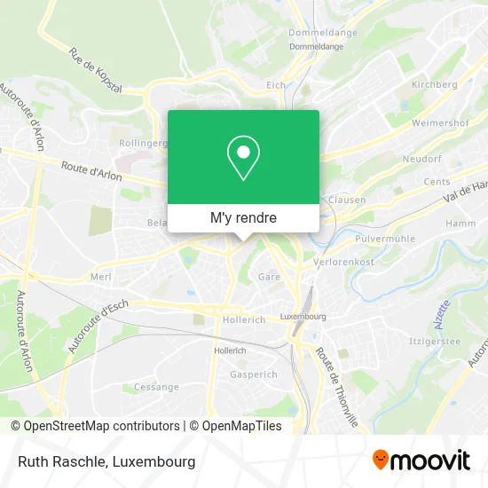 Ruth Raschle plan