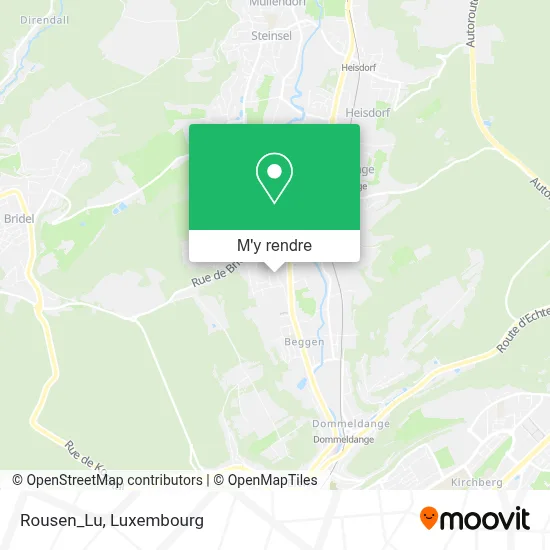 Rousen_Lu plan