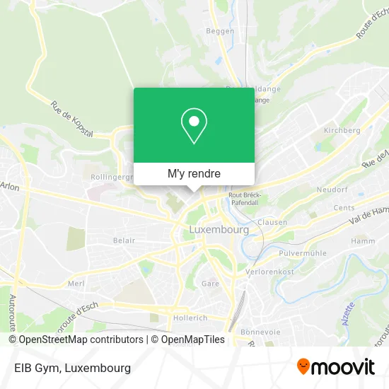 EIB Gym plan