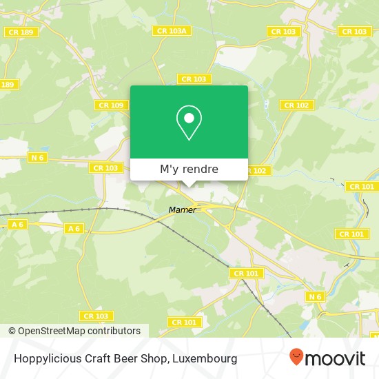Hoppylicious Craft Beer Shop plan