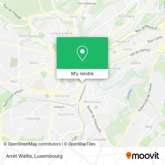 Arrêt Wallis plan