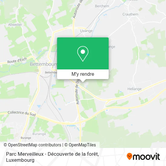 Parc Merveilleux - Découverte de la forêt plan