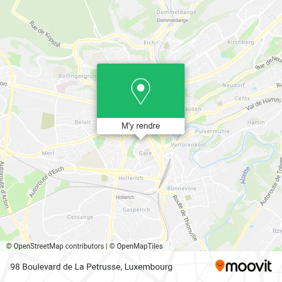 98 Boulevard de La Petrusse plan