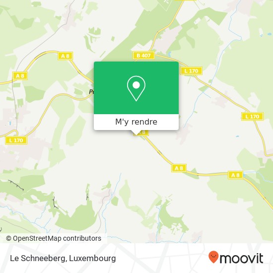 Le Schneeberg plan