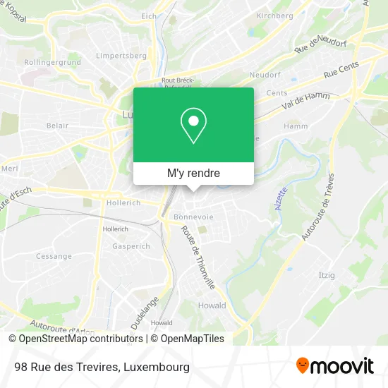 98 Rue des Trevires plan