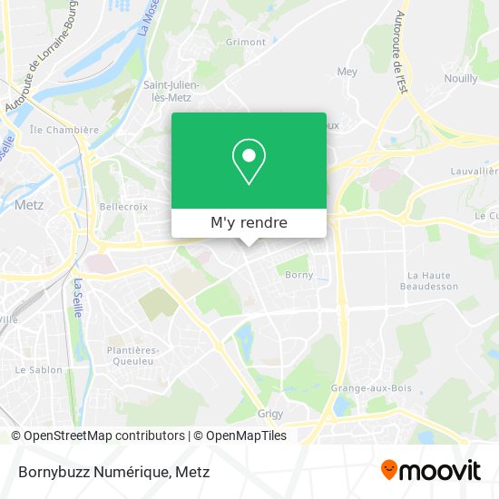 Bornybuzz Numérique plan
