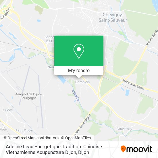 Adeline Leau Énergétique Tradition. Chinoise Vietnamienne Acupuncture Dijon plan