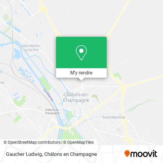 Gaucher Ludwig plan
