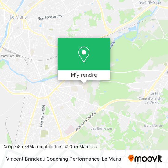 Vincent Brindeau Coaching Performance plan