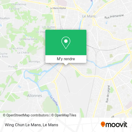 Wing Chun Le Mans plan
