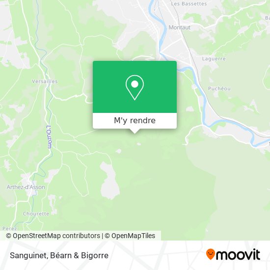 Sanguinet plan