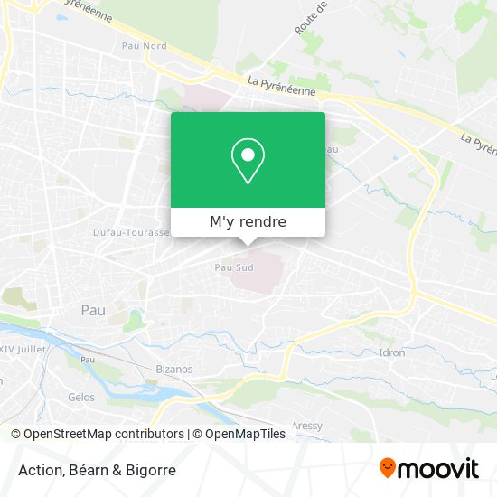 Action plan