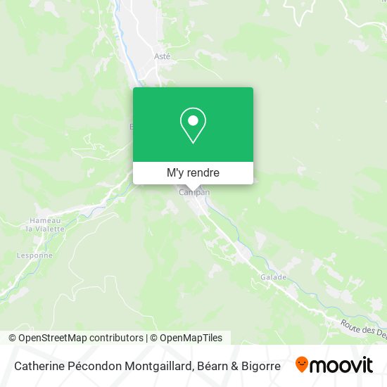 Catherine Pécondon Montgaillard plan