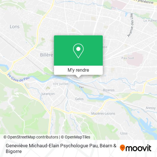 Geneviève Michaud-Elain Psychologue Pau plan