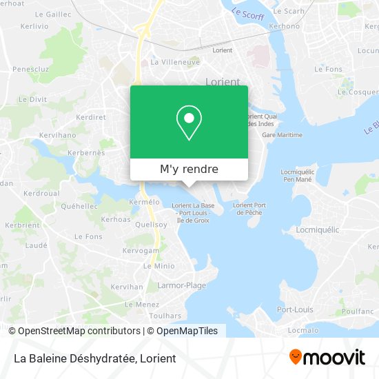 La Baleine Déshydratée plan