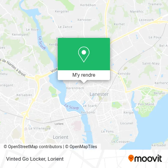 Vinted Go Locker plan