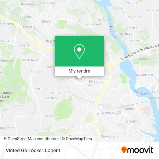 Vinted Go Locker plan