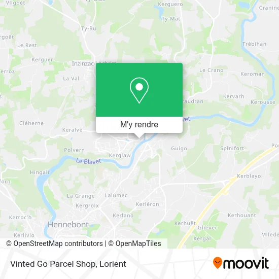 Vinted Go Parcel Shop plan