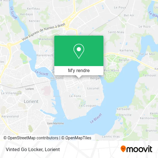Vinted Go Locker plan