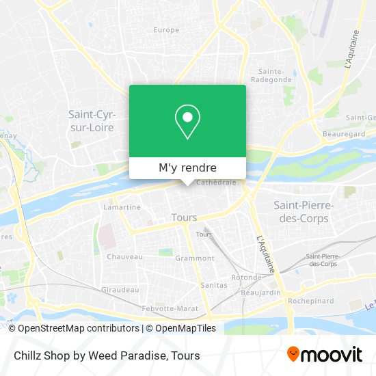 Chillz Shop by Weed Paradise plan